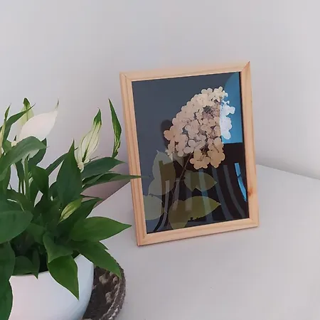 Na Wsi - Sauna I Jacuzzi * Dabrowka (Wolomin)