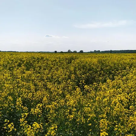 Na Wsi - Sauna I Jacuzzi Quarto em Acomodações Particulares *