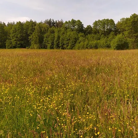 Quarto em Acomodações Particulares Na Wsi - Sauna I Jacuzzi