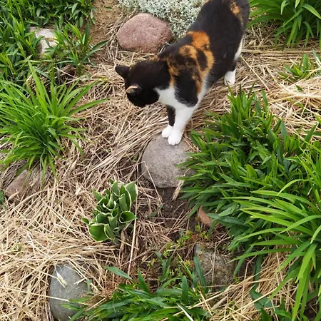 Na Wsi - Sauna I Jacuzzi Quarto em Acomodações Particulares *