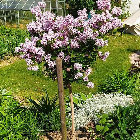 Na Wsi - Sauna I Jacuzzi Quarto em Acomodações Particulares Dabrowka (Wolomin)