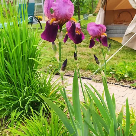 Quarto em Acomodações Particulares Na Wsi - Sauna I Jacuzzi Dabrowka (Wolomin)