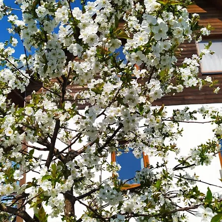 Quarto em Acomodações Particulares Na Wsi - Sauna I Jacuzzi Dabrowka (Wolomin)