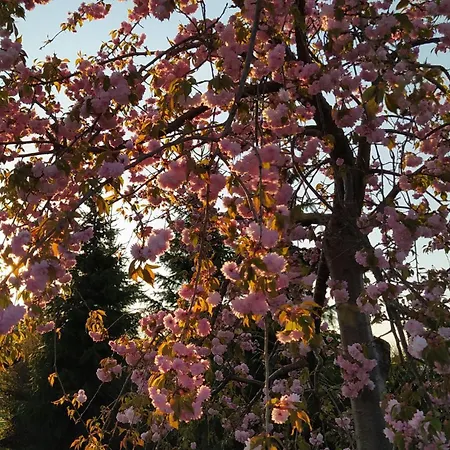 Na Wsi - Sauna I Jacuzzi *