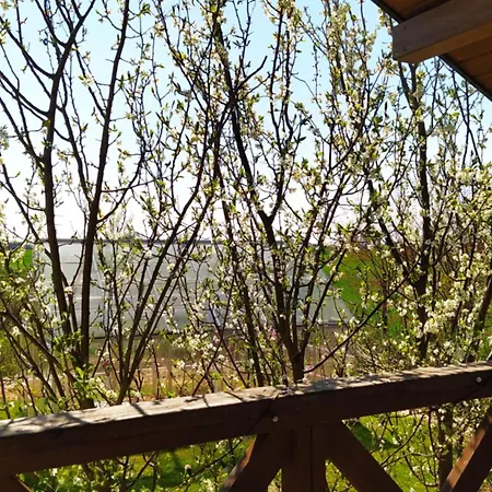 Na Wsi - Sauna I Jacuzzi Homestay
