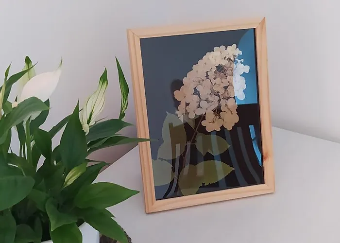 Na Wsi - Sauna I Jacuzzi * Dabrowka (Wolomin)