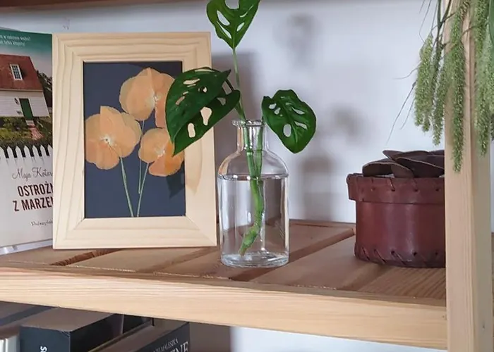 Séjour chez l'habitant Na Wsi - Sauna I Jacuzzi