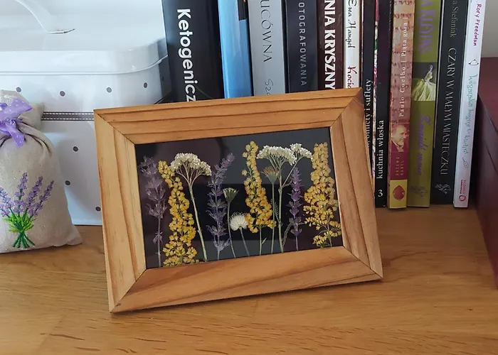 Séjour chez l'habitant Na Wsi - Sauna I Jacuzzi Dabrowka (Wolomin)