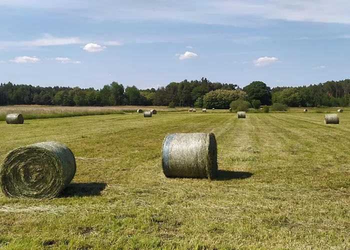 Na Wsi - Sauna I Jacuzzi Проживание в семье *