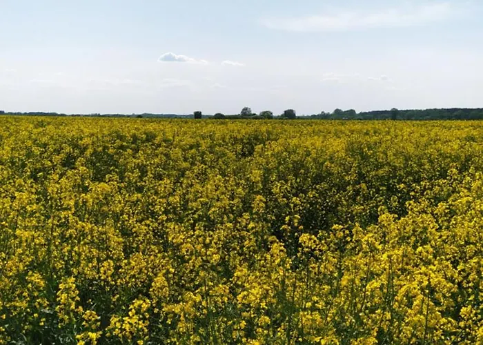 Na Wsi - Sauna I Jacuzzi Séjour chez l'habitant *
