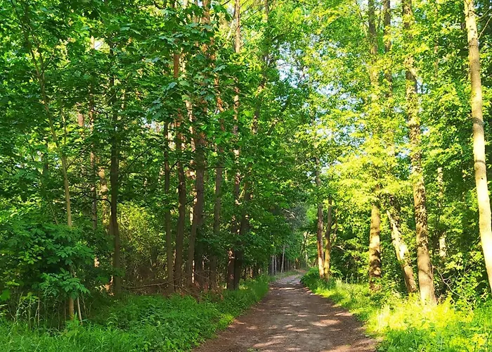 Séjour chez l'habitant Na Wsi - Sauna I Jacuzzi *
