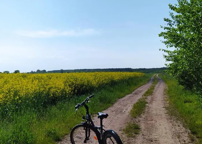 Na Wsi - Sauna I Jacuzzi Проживание в семье Dabrowka (Wolomin)