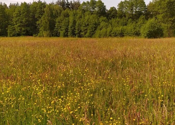 Проживание в семье Na Wsi - Sauna I Jacuzzi