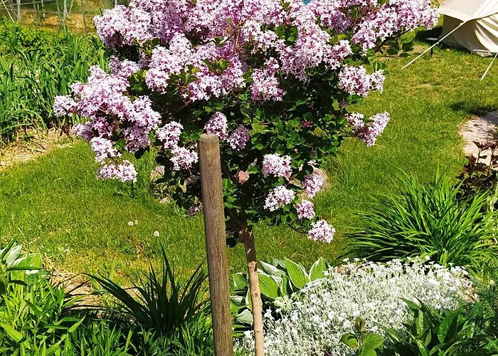 Na Wsi - Sauna I Jacuzzi Проживание в семье Dabrowka (Wolomin)