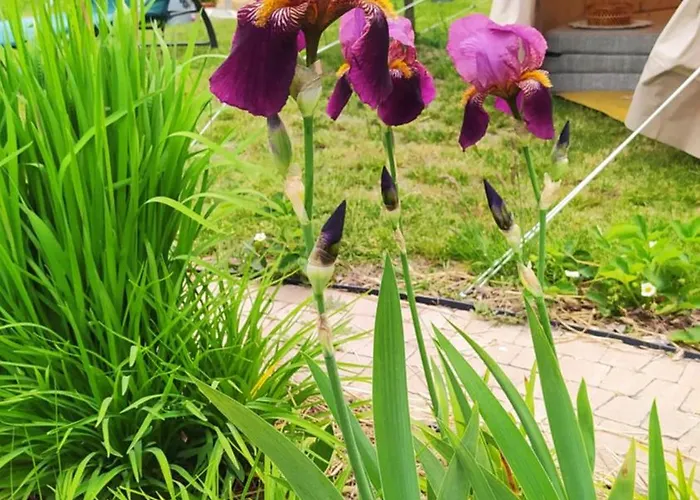 Séjour chez l'habitant Na Wsi - Sauna I Jacuzzi Dabrowka (Wolomin)