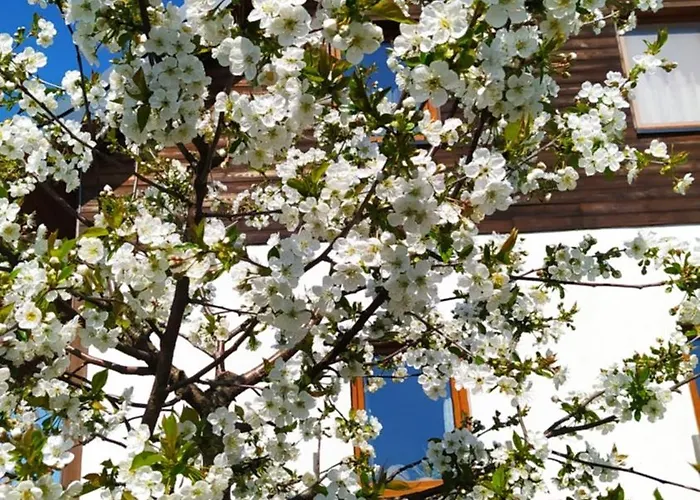 Séjour chez l'habitant Na Wsi - Sauna I Jacuzzi Dabrowka (Wolomin)