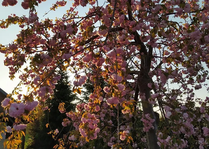 Na Wsi - Sauna I Jacuzzi *