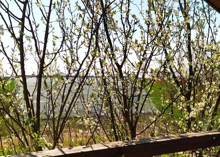 Na Wsi - Sauna I Jacuzzi Séjour chez l'habitant